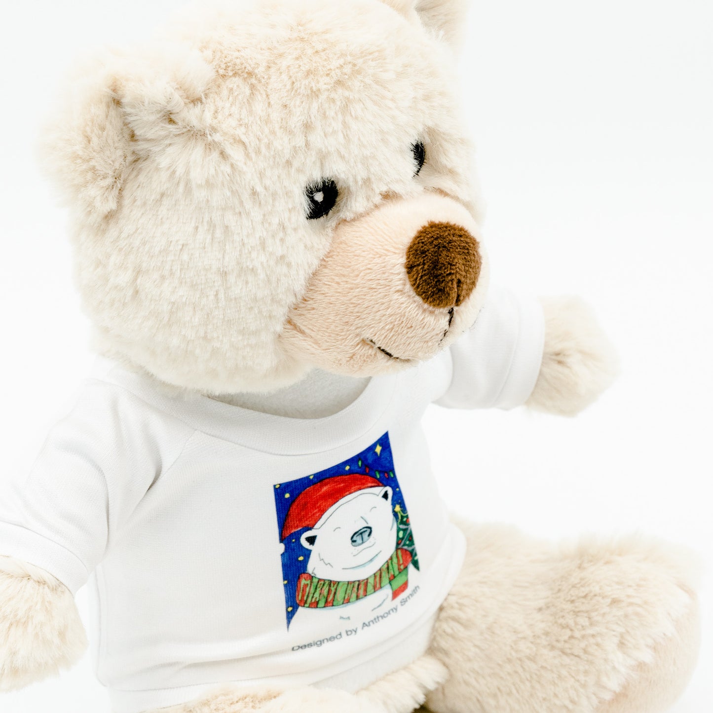 Eddie the Teddy - Christmas Bear Soft Toy with Removable T-Shirt