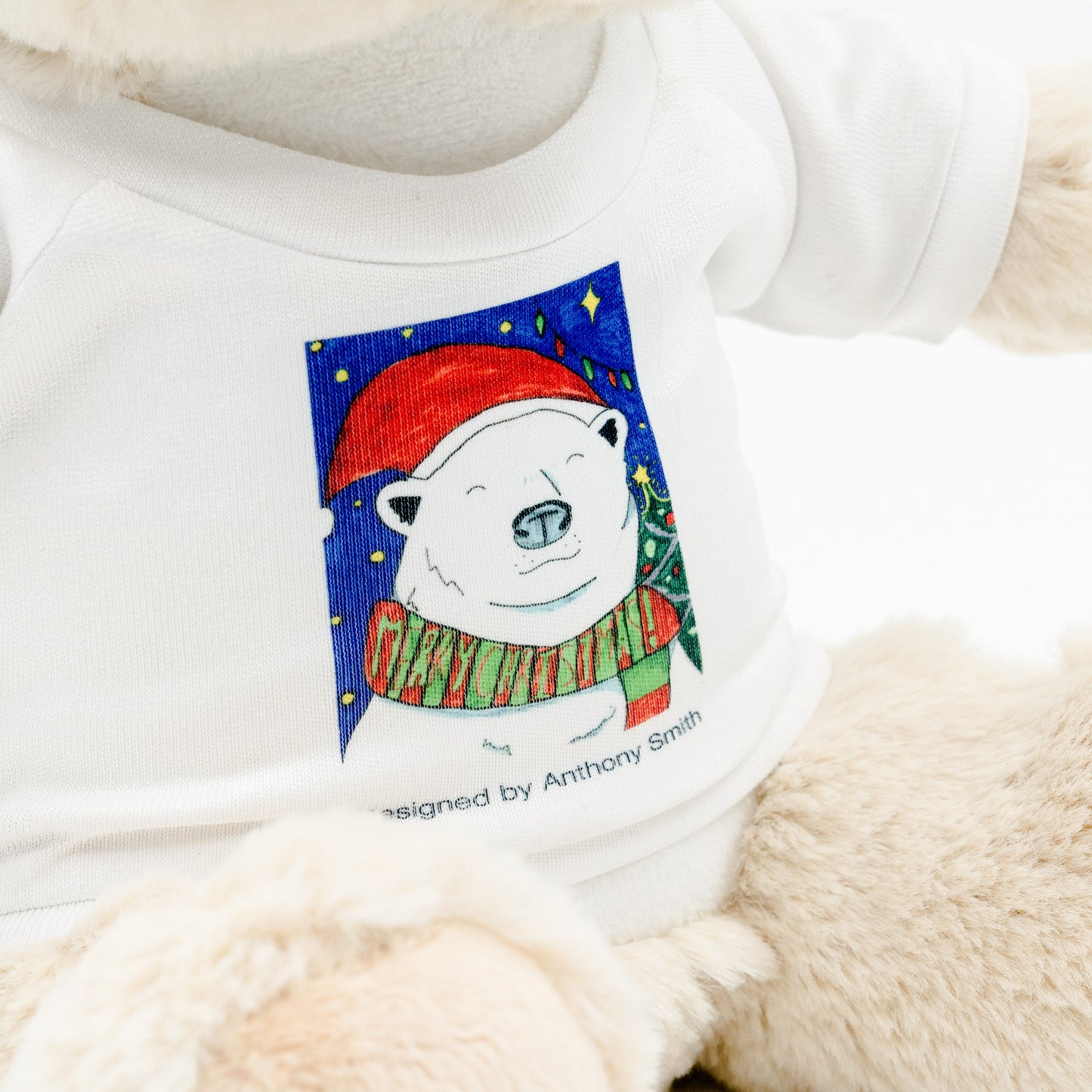 Eddie the Teddy - Christmas Bear Soft Toy with Removable T-Shirt