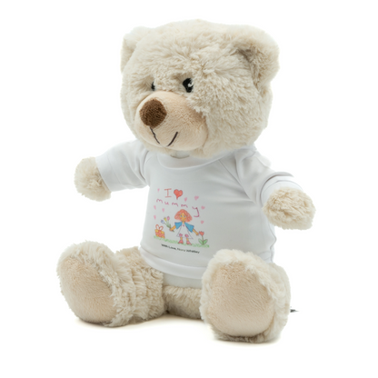 Eddie the Teddy Soft Toy