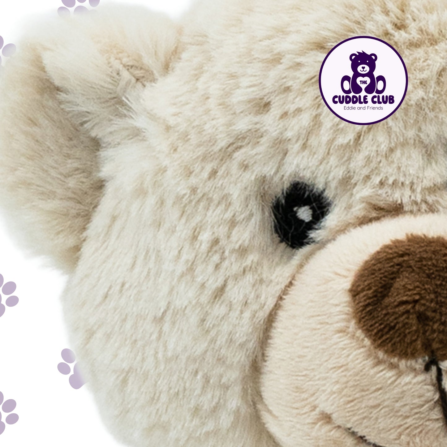 Eddie the Teddy | Soft Toy with Removable T-Shirt