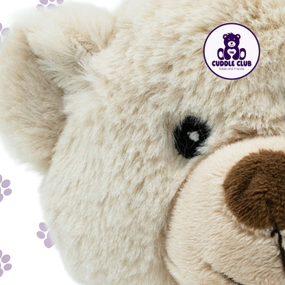 Eddie the Teddy | Soft Toy with Removable T-Shirt